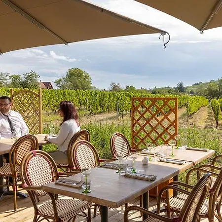 Og Boutique Kastelberg Obernai Hotel *