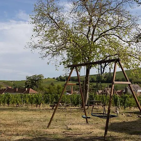 Hotel Og Boutique Kastelberg Obernai *